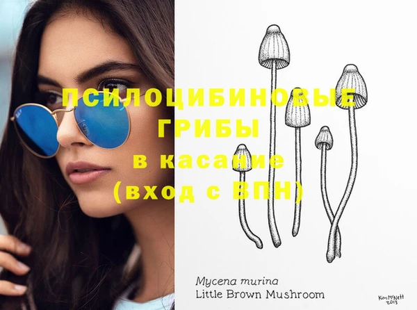 а пвп мука Аркадак
