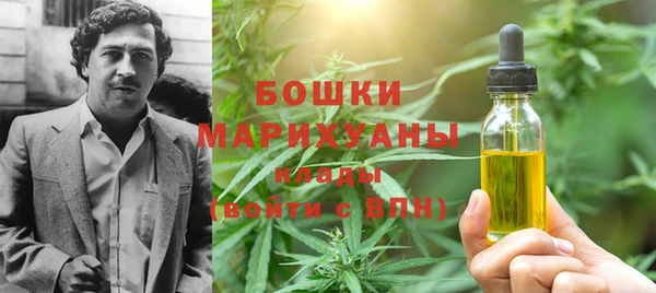 сатива Армянск