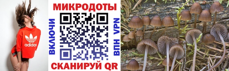 наркота  Удомля  Галлюциногенные грибы прущие грибы 