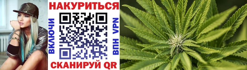 ссылка на мегу онион  Удомля  Бошки марихуана план 